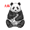 Asian Panda