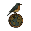 Robin on World Globe