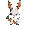 QW_NAC_SZARY_Z_BIALYM_NAPISEM