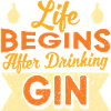 Life Begins After Drinking Gin Design