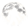 Bigfoot Airplanes