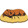 sleeping dog dachshund