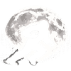 Bigfoot Rugby