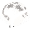 Bigfoot Kickboxing