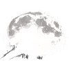 Bigfoot Fencing