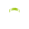 Restez Sauvage Toujours Skull