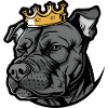 Staffordshire Bull Terrier Dog Crown