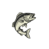 Fishing River Fighting Big Fish