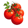 Tomates
