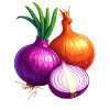 Onions