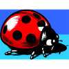 Marienkäfer