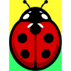 ladybird