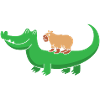 Capibara Capybara