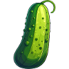 Concombre