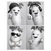 Radis Daikon