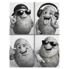 Kernknollen Groove Collage