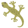 Lime Gecko Silhouette Pattern