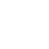 1981 Édition Limitée 1981 Retro 1981