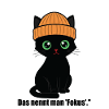 Black cap kitten. Sweet and Coll.