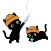 Two cute kittens playing. Unique.