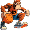 Monkey Basketball Player / Hooper
