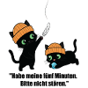 Cat duo playing. Fun. Unique