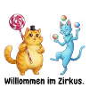 Circus Cats Wonder World