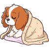 Sleeper puppy under cover
