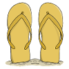 Sunny Beach Flip Flops