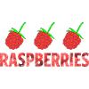 RASPBERRIES
