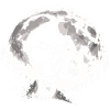 Saut BMX Bigfoot