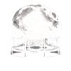 Bigfoot on trampoline