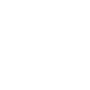 Roller Skate Kawaii Cat
