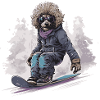 Pudel Hund Snowboard