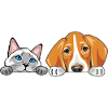 Peeking_Siamese_cat_and_Foxhound_dog