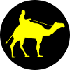camel_ride_02