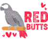 Parrot Grey