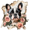 Bouledogue français