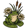 Frosch am Seerosenteich