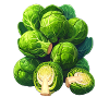 Brussels sprouts