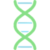 Hélice d’ADN Moderne