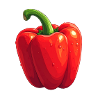 Rote Paprika
