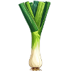 Leeks / Leeks
