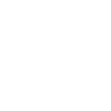Wild Skull Design