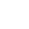 Wild Skull Design