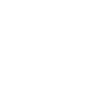 Wild Skull Design