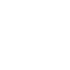 Wild Skull Design