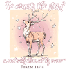 Deer Christian