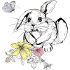 Rabbit in a flower meadow