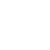 Boxe Guépard MMA
